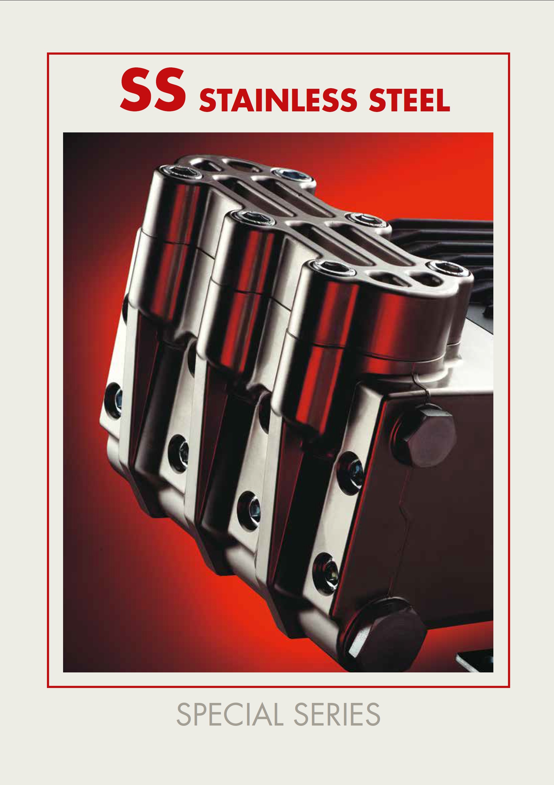 Versioni Acciaio Inox